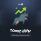 بولران چیست؟