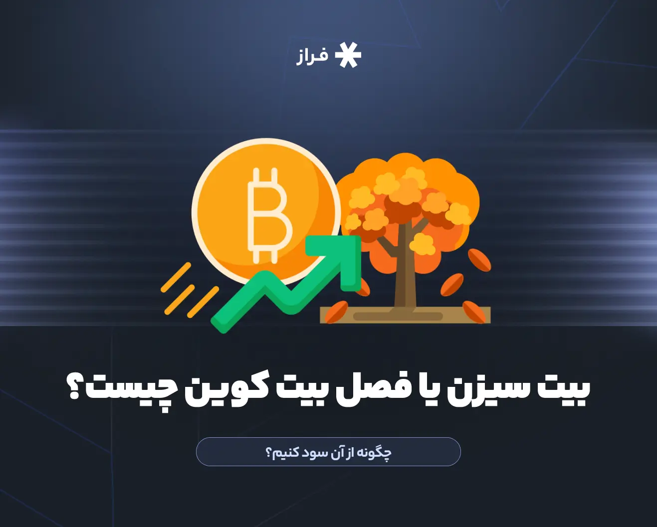 بیت سیزن چیست و چگونه از آن سود کنیم؟