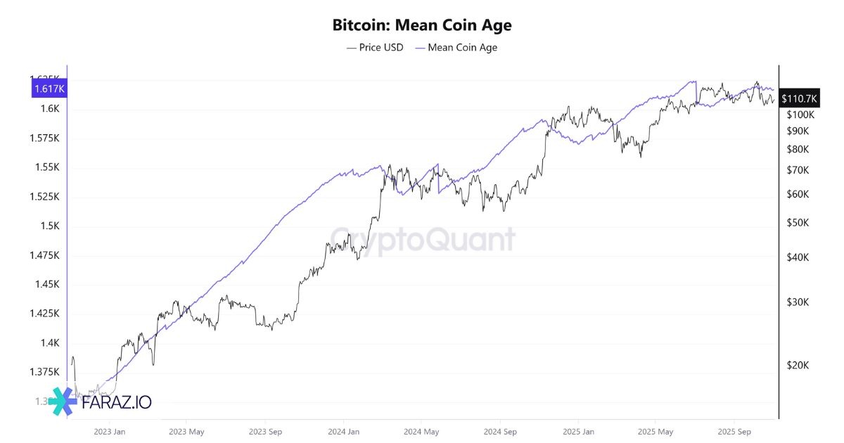 سن کوین‌ها (Coin Age)