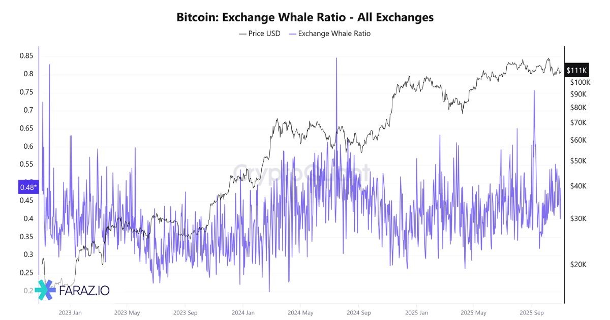 رفتار نهنگ‌ها (Whale Tracking)