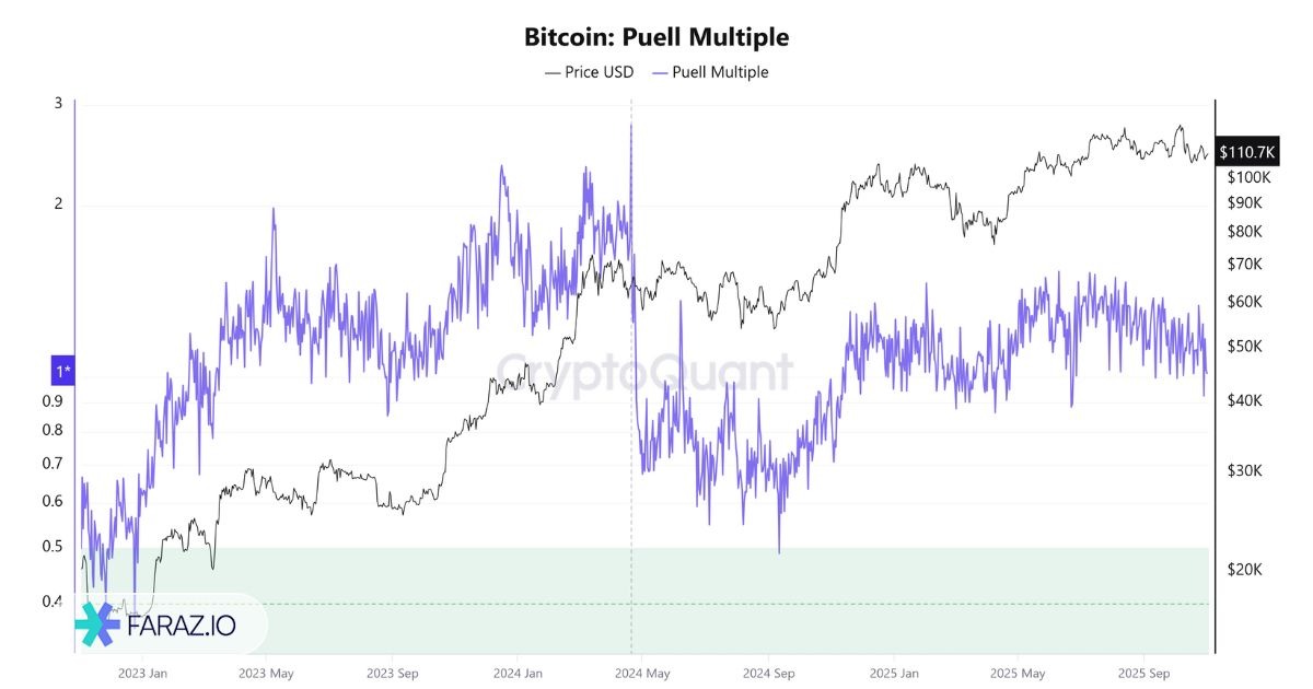 شاخص Puell Multiple