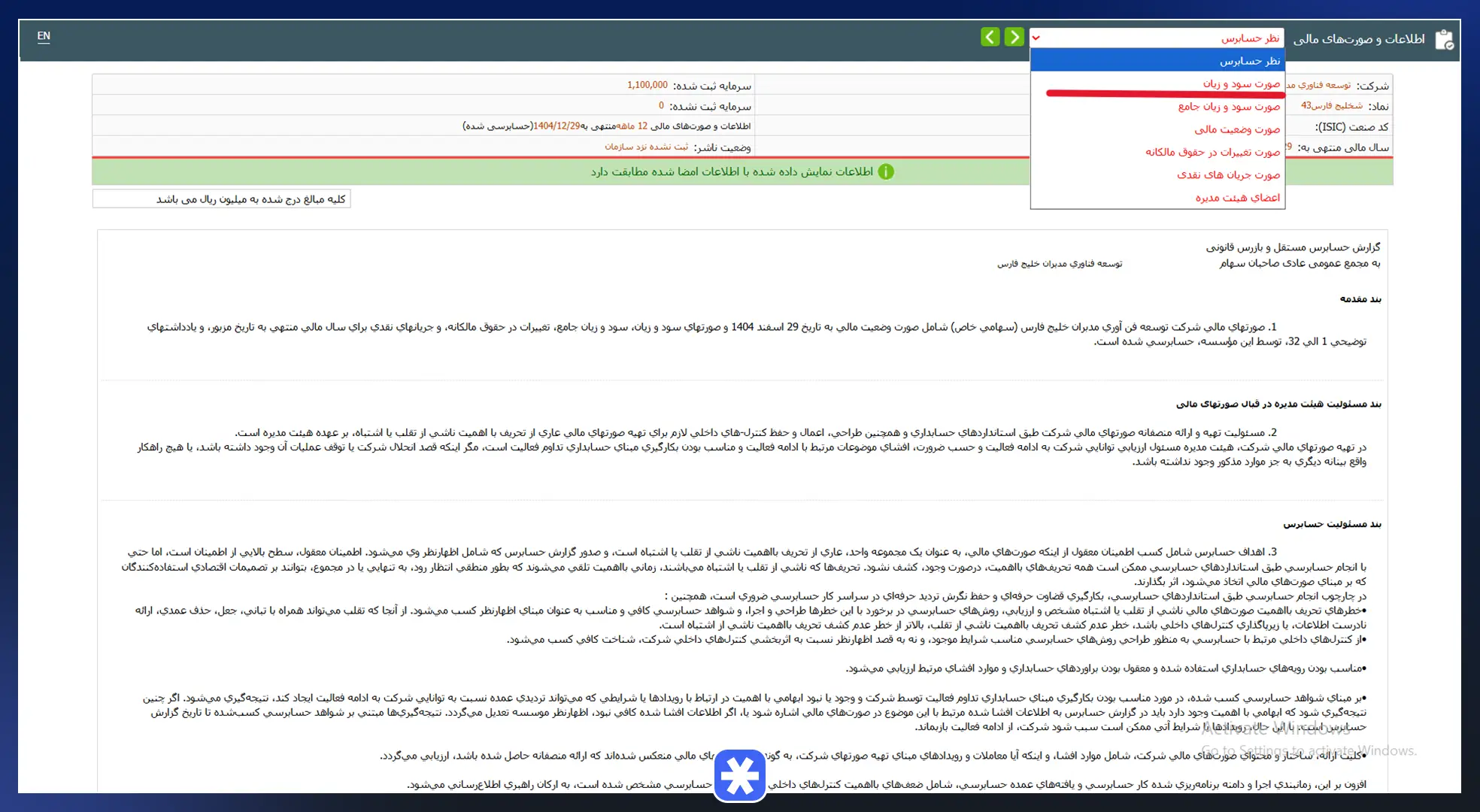 گزینه صورت سود و زیان