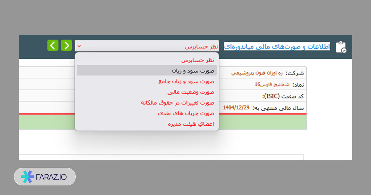 گزینه صورت سود و زیان