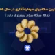 بهترین سکه برای سرمایه‌گذاری در سال ۱۴۰۵