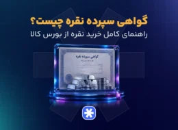 گواهی سپرده نقره چیست؟